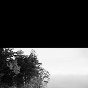 Meet your Posher, Pam